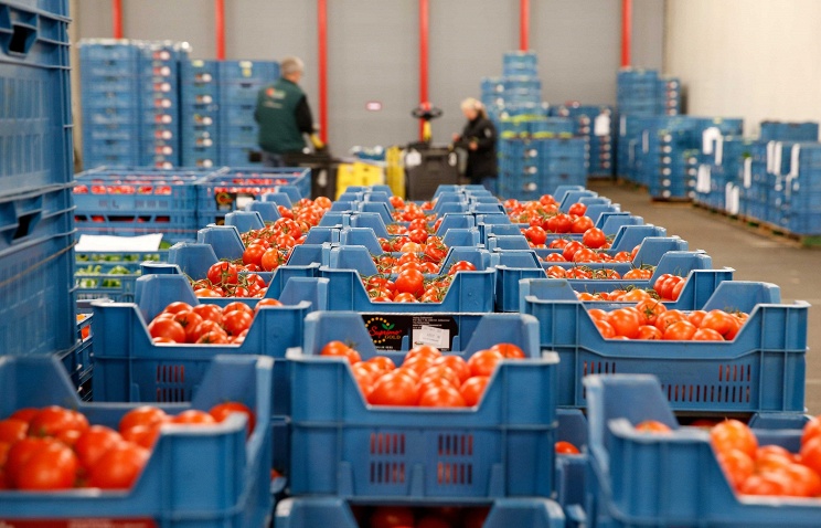 Russia combats fruit and vegetable smuggling