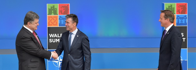 Referendum regarding NATO membership as a borderline faulty game
