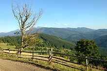 Kremlin tried to create a new “people’s republic” in the Carpathians