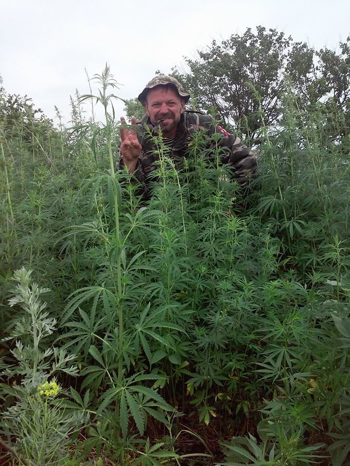 In the fields of Donbas
