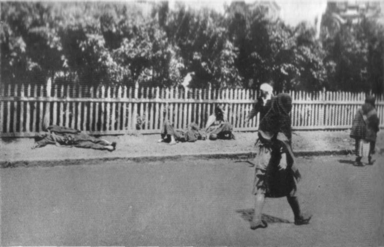 Stalin’s genocidal Holodomor campaign of 1932 33. What we know vs the denialist lies