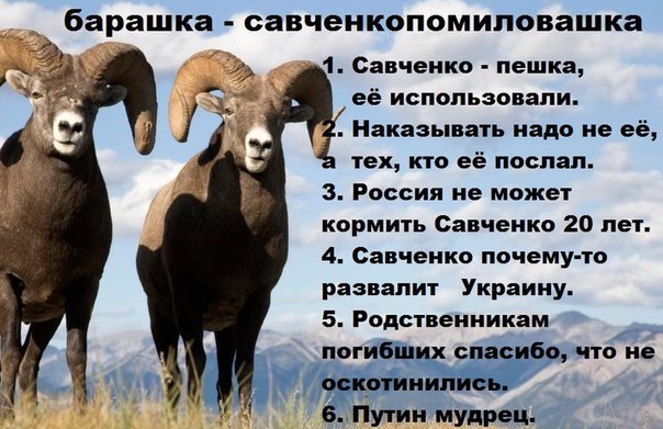 Russian meme: "Savchenko was a pawn. Let's not punish her but the ones who sent her. Russia can't feed her for next 20 years. Savchenko will destroy Ukraine for some reason. Thanks to relatives of the dead for staying humane. Putin is wise"