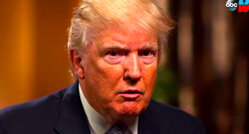 Donald Trump during an ABC interview in July 2016 (Image: screen capture)