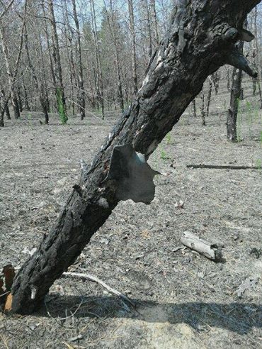 #DonbasReports: 54 attacks. 2,608 soldiers killed since 2014. Yanukovych denies he asked Putin for troops ~~