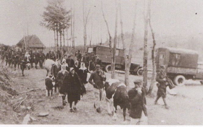 Historical documents detailing Vistula operation to deport 150,000 Polish Ukrainians now online