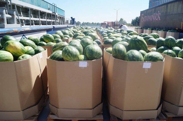 Kherson watermelon