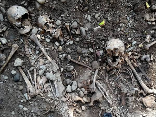 134 bodies of NKVD victims unearthed in Ivano Frankivsk