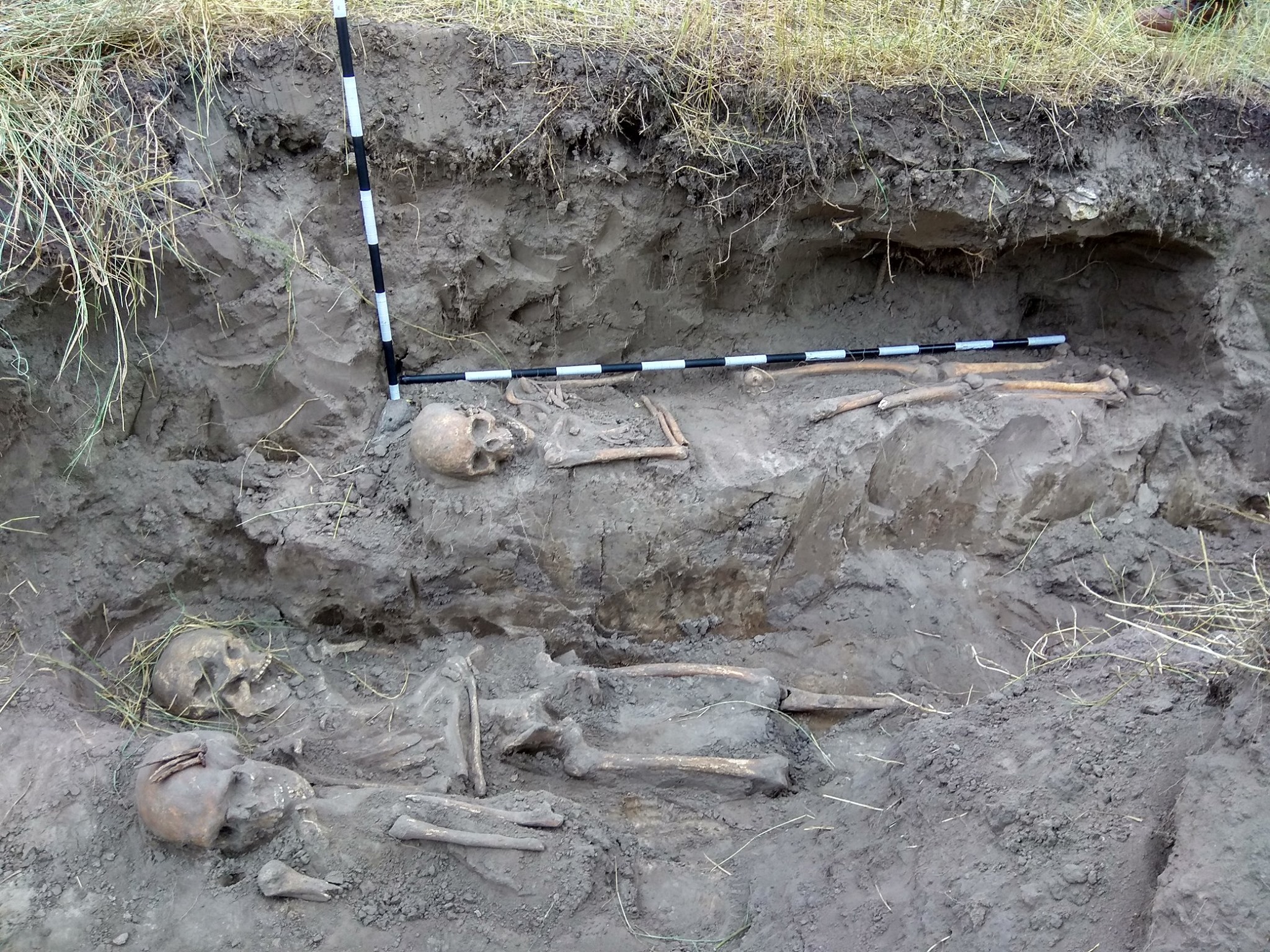 Mass graves of victims of communist regime found in Zhytomyr region (photos)