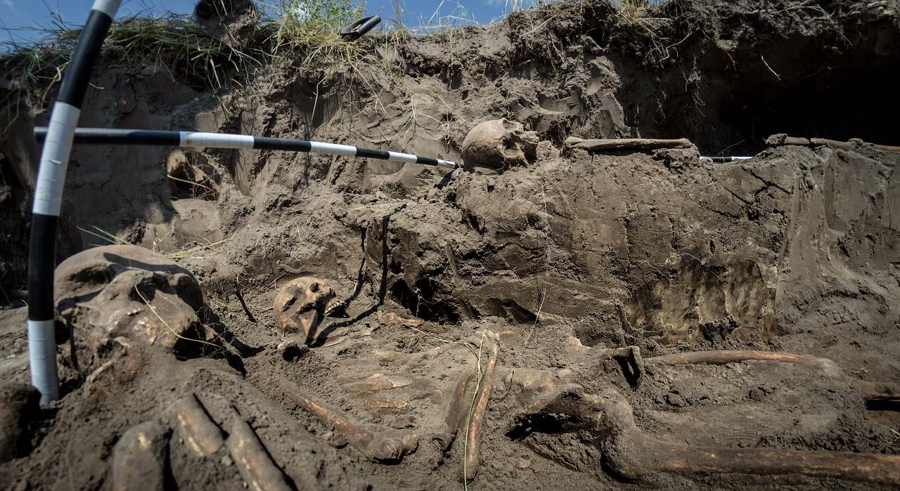 Mass graves of victims of communist regime found in Zhytomyr region (photos) ~~