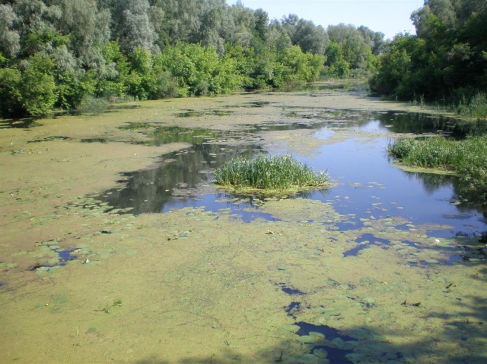 on-the-verge-of-disaster-top-5-environmental-problems-in-ukraine