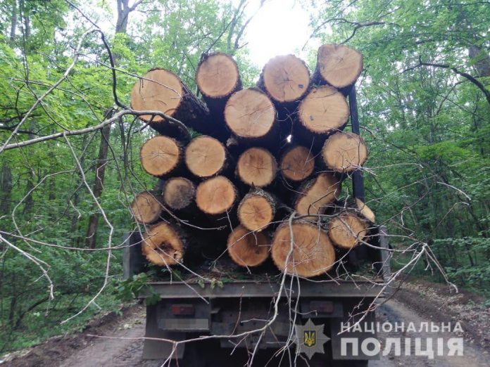 on-the-verge-of-disaster-top-5-environmental-problems-in-ukraine