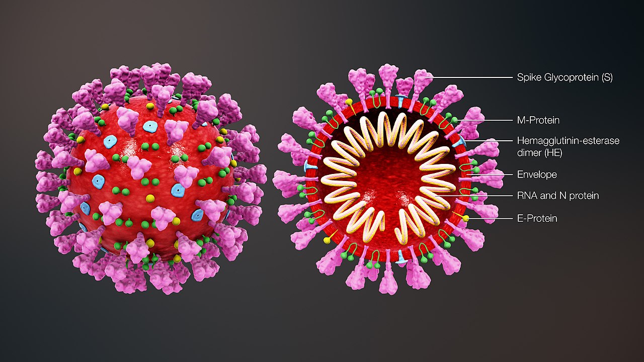 Coronavirus is not a biological weapon. It’s an information one