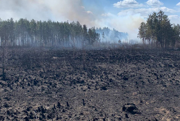 The stubborn Ukrainian tradition behind forest fires in Chornobyl ~~