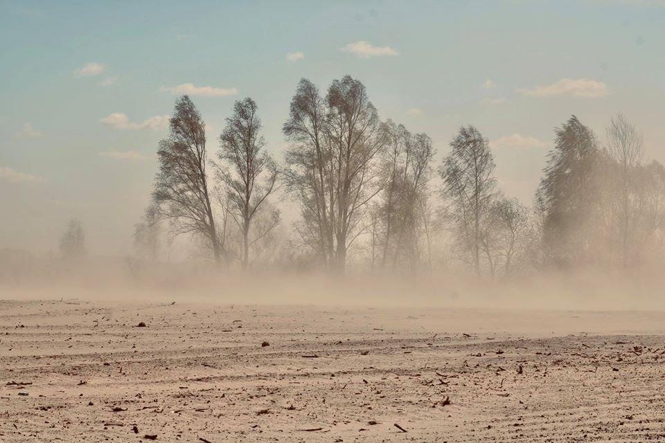 Dust storms, dry rivers, and desertification in Ukraine offer harsh lessons against intensive farming