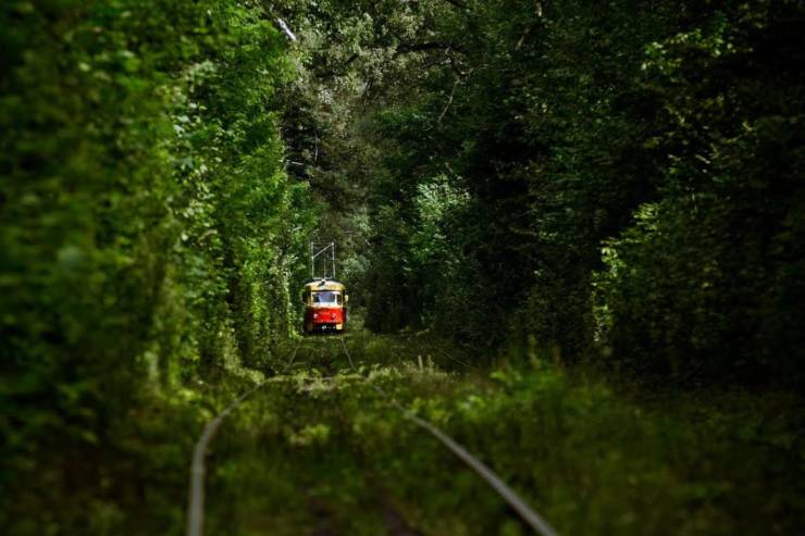Seven off beat summer places to go if you’re locked down in Kyiv