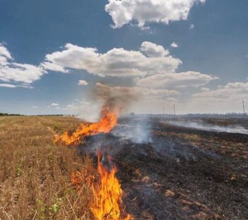 Naftogaz to retrofit its power plants for burning straw, chips, waste instead of fossil fuels