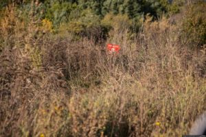 Donbas frontline