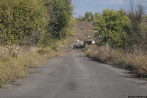 Donbas frontline