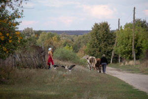 Donbas frontline