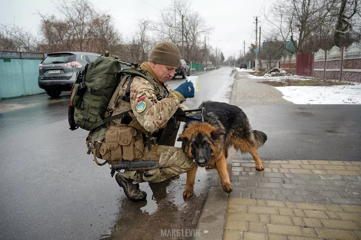Ukrainian soldier with a mug of tea petting a stray dog in the street. The Russo-Ukrainian War (2014-present). March 2022 (Photo: Maks Levin)