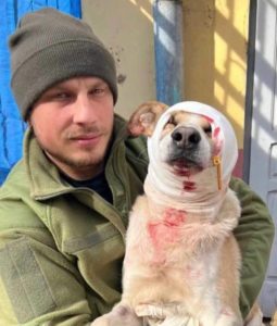 A dog wounded by Russian artillery shelling and saved by a Ukrainian soldier. Kharkiv, Ukraine. April 1, 2022. Credit: Dattalion