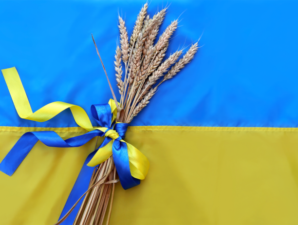Ukrainian Grain stuck due to Russian War