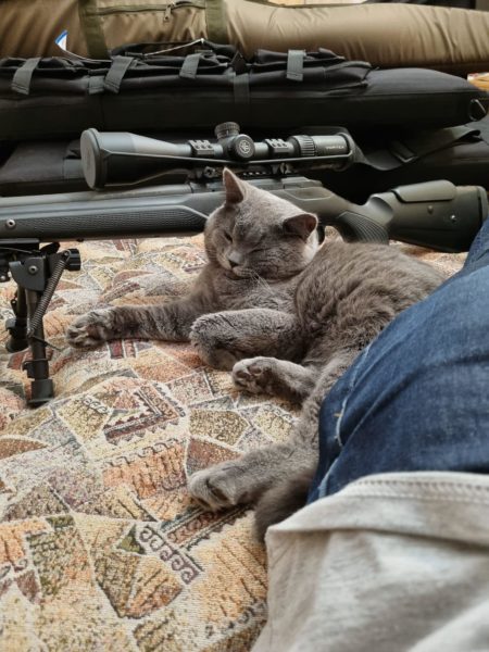 Yuriy's cat and sniper rifle