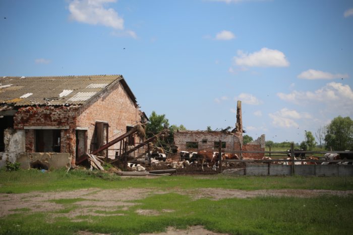 Crímenes de guerra rusos Ucrania granja Chernihiv