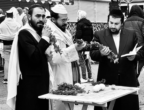Hasidic jews Uman pilgrimage