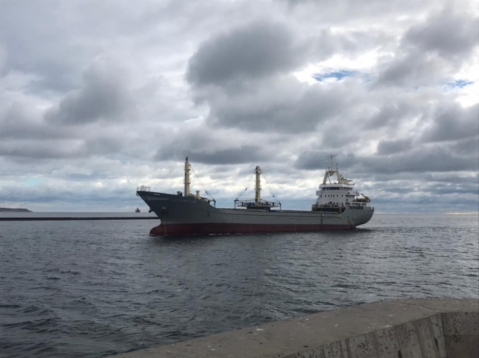 Another 7 grain ships left Ukrainian ports via grain corridor amid Russian Black sea blockade