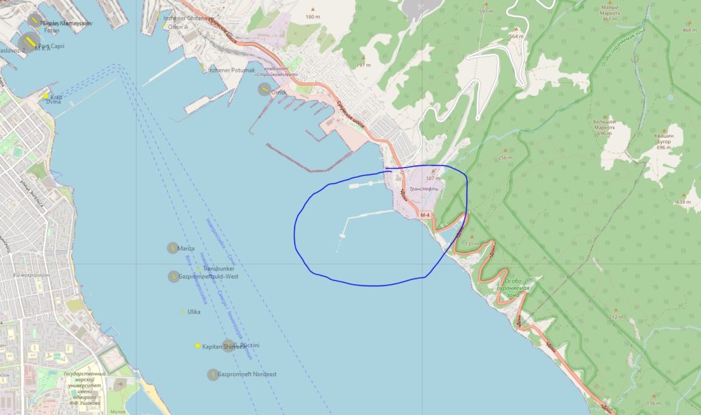 Tankers stopped entering Russian Novorossiysk to export oil after an alleged drone attack on the terminal