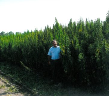 Industrial hemp cultivation park established in Ukraine