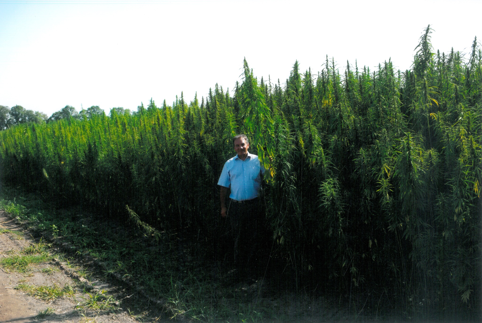 Industrial hemp cultivation park established in Ukraine