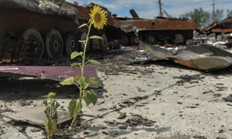 russia caused nearly $55 billion ukraine environmental damage