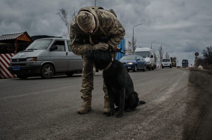 vadym member national guard ukraine resqued dog luhansk oblast