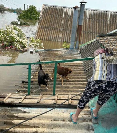 Oleshky flood Kherson Kakhovka dam evacuation rescue