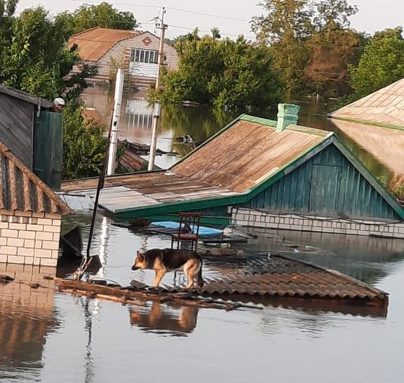 Flooded Kherson region Oleshky Kakhovka dam